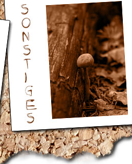 Sonstiges